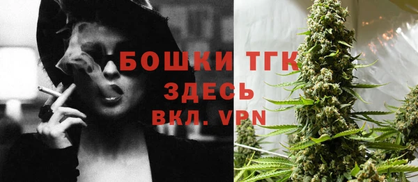 прущие грибы Богородск