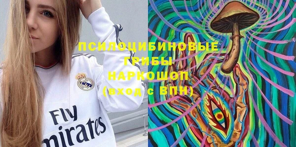 прущие грибы Богородск