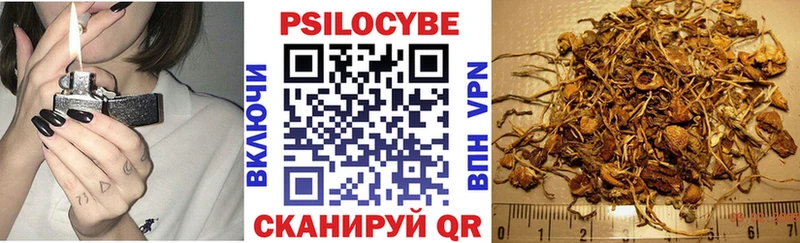 Псилоцибиновые грибы Psilocybe  Пермь 